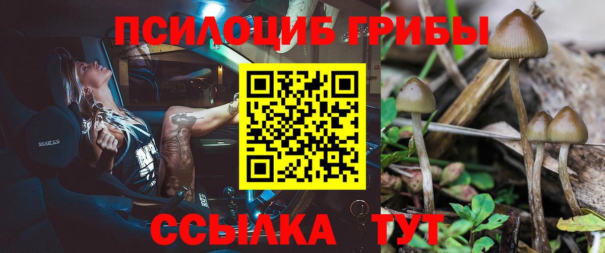 Тюмень  Псилоцибиновые грибы Psilocybe  Вход с VPN 